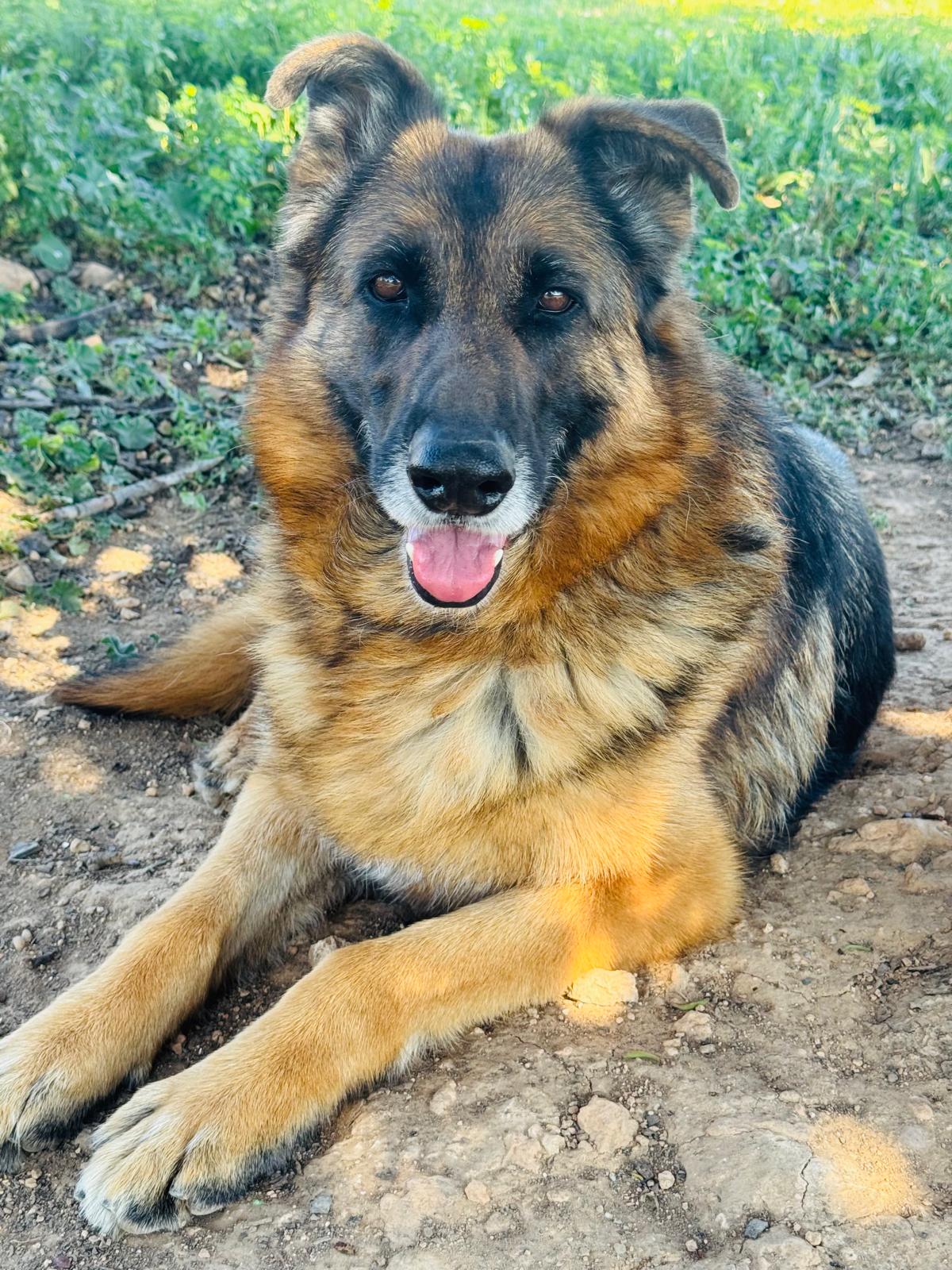 Foto de Katara